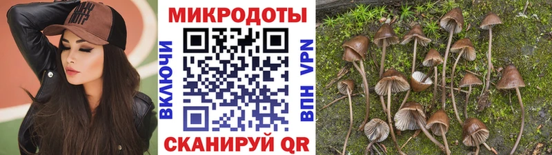 Псилоцибиновые грибы Magic Shrooms  Пятигорск 